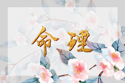 农历2025年老黄历 万年历农历查询 农历阴历查询2025年